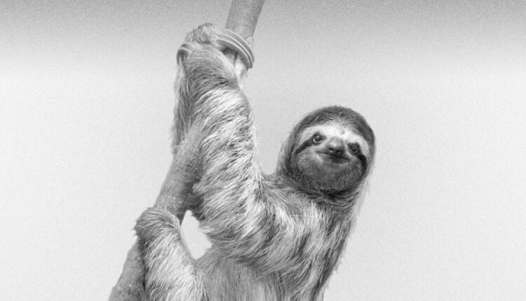 Here’s (Almost) Everything Wall Street Expects In 2023