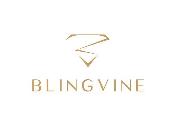 The Unique Business Strategy That Helped Blingvine Reach 1 Lakh Customers
