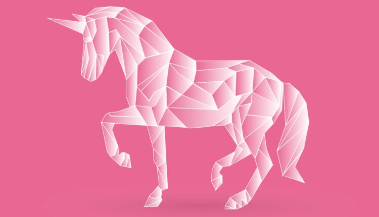 Tech Unicorns Overvalued. Must Revisit Business Models