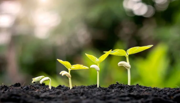 Bring B2B customers to ‘life’ with personas, it’s good for business